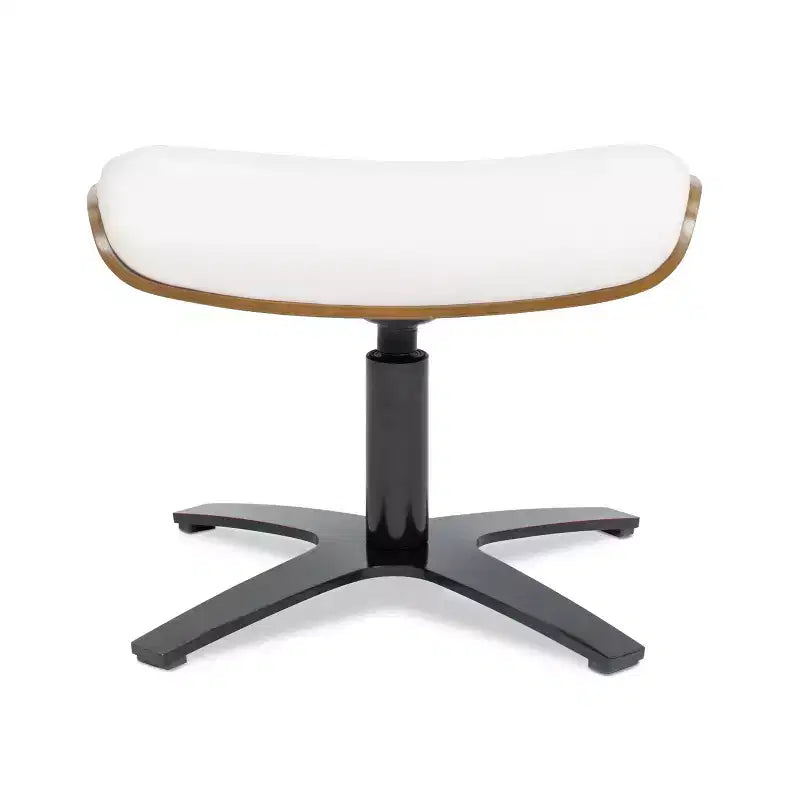 Jennifer Taylor Home , Baja Chocolate Leather