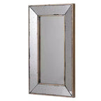 16.5 x 24 Inch Traditional Rectangular Wall Mirror or Decorative Tray