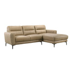 Set Divano Componibile a 2 Pezzi in Similpelle con Gambe in Metallo