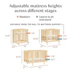Babyletto Pogo 8-in-1 Convertible Crib with All-Stages Conversion Kits